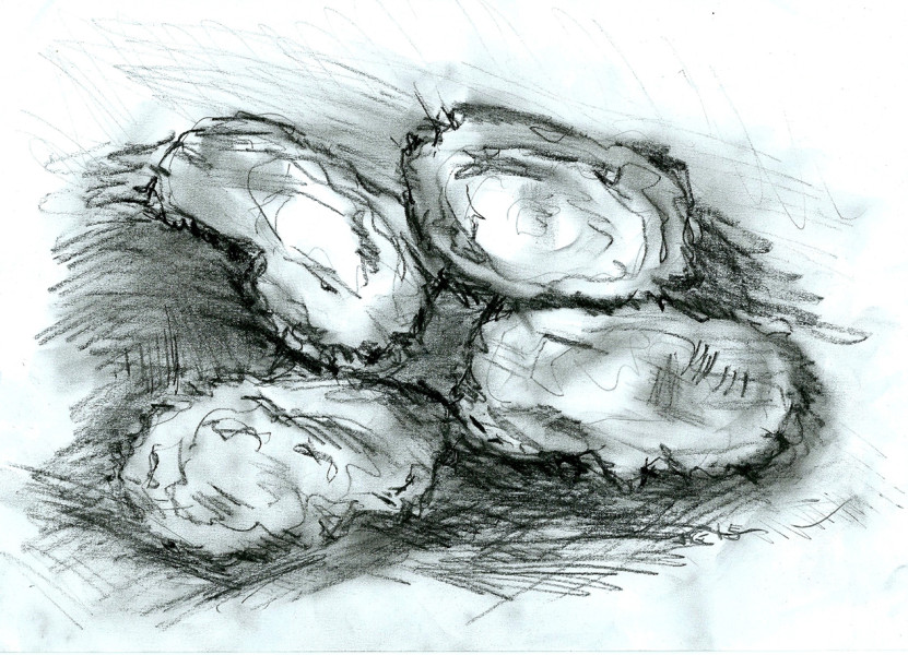 oystersSmaller2