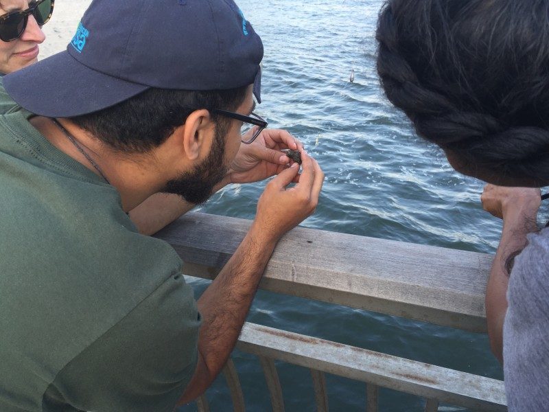 Fish Stories collects recipes at a fishing clinic hosted by the LES Ecology Center